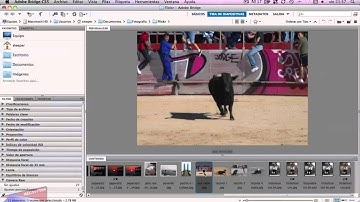 Adobe bridge 1 Interface