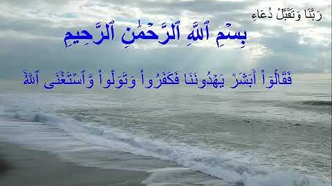 سورة التغابن الايات 5  8