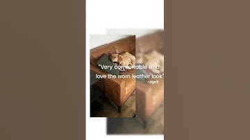 Sorrento Sofa by Poly & Bark | Modern Sofa, mid-century sofa, leather sofa, contemporary sofa, couch