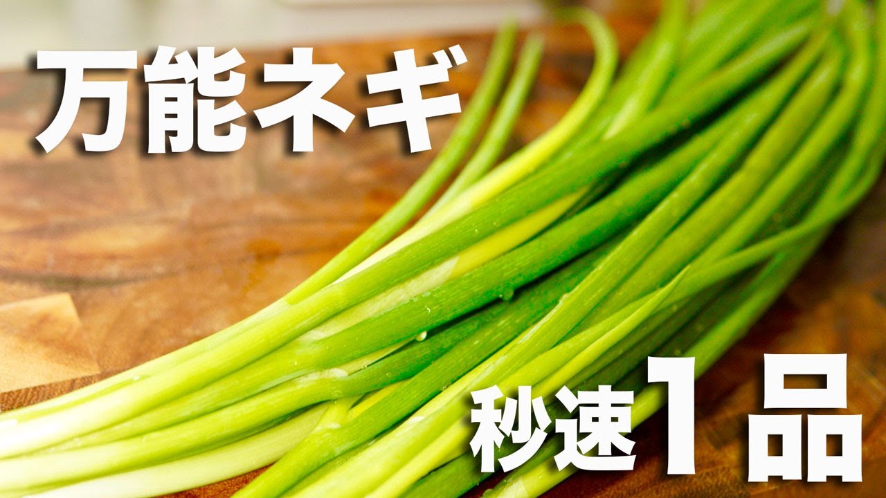 ネギ 速