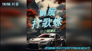 DJ 版 - 打歌妹 x THE GARDEN 云南打歌 打跳歌 云南打歌舞 华语REMIX DJ慢摇 TikTok 抖音 3988 Entertainment