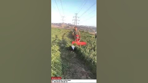 Máy cắt cỏ kamast 2019 lh 0988866196