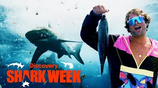 Jackass Star Poopies Bit in the Hand by a Reef Shark! | Shark Week