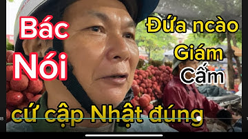 Vải Thiều Lục ngạn Bắc Giang và hành trình bán vải trời mưa #vaithieulucngan#NguyễnThao TV