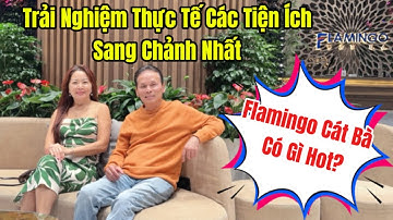 Flamingo Cát Bà Có Gì Hot? Trải Nghiệm Thực Tế Các Tiện Ích Sang Chảnh Nhất