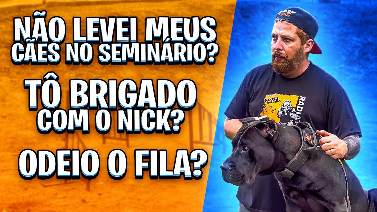 RESPONDI A PERGUNTAS POLÊMICAS