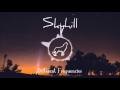 Skyhill - Different Frequencies