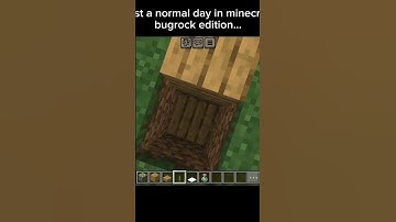 Just a normal day in minecraft bugrock edition... #minecraftshorts #minecraftmemes