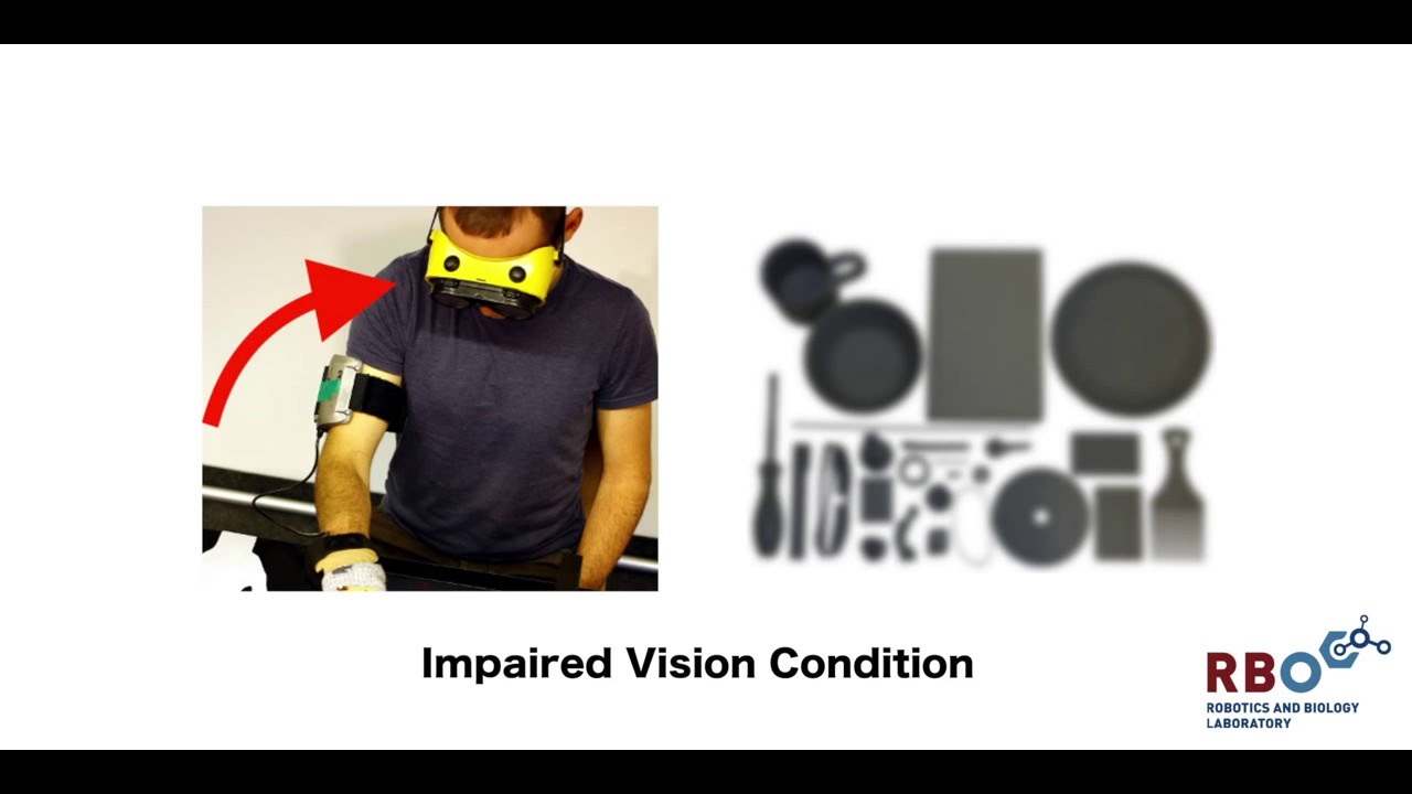 A Compact Representation of Human Single-Object Grasping