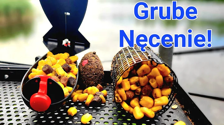 Grube nęcenie!  Liny Karasie Karpie i Wichura  Method Feeder PZW