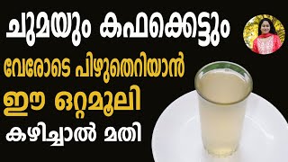 1 ദിവസം കൊണ്ട് എത്ര പഴകിയ കഫക്കെട്ടും മാറ്റിയെടുക്കാം Home Remedy For Cough Malayalam