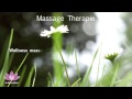 In balans totaal  klassieke homeopathie  massage therapie