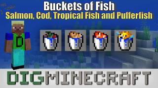 How To Make A Bucket Of Tropical Fish In Minecraft