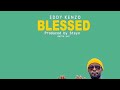 Eddy Kenzo Blessed Lyric Video mp3