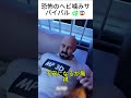 恐怖のヘビ噛みサバイバル 🐍😨