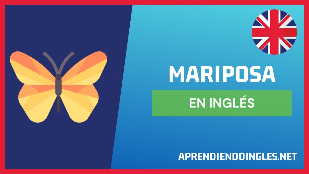 CÓMO se dice MARIPOSA en INGLÉS 2022 🦋 APRENDE A ESCRIBIR BUTTERFLY