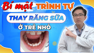 Bí Mật Trình Tự Thay Răng Sữa Ở Trẻ Nhỏ