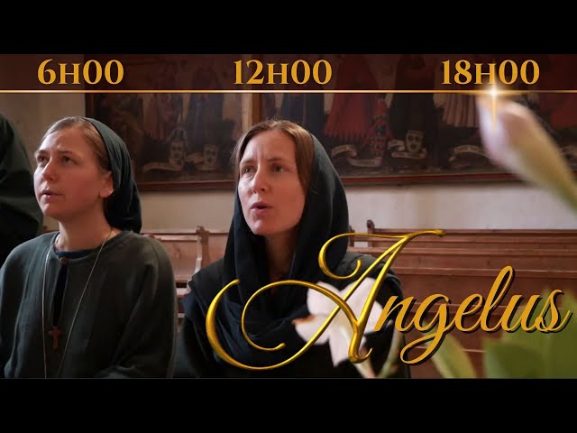 ANGELUS (sung in Latin) class=