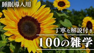 【睡眠導入用】100の雑学(解説付き)【雑学】いつもより贅沢に100個の雑学を♪