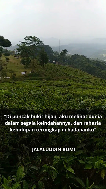Bukit Hijau