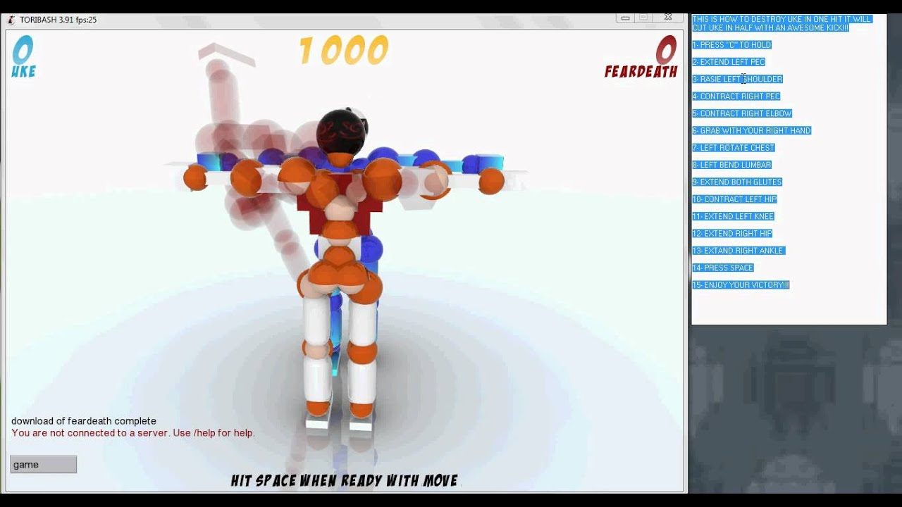 Megawares Toribash Judo Sidekick YouTube