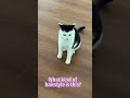 What kind of hairstyle is this?#catmoments #cat #catlife #catshorts #kitten #catvideo #lovelycat