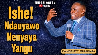 Evangelist T. Muparinga - Ishe! Ndauyawo Nenyaya Yangu