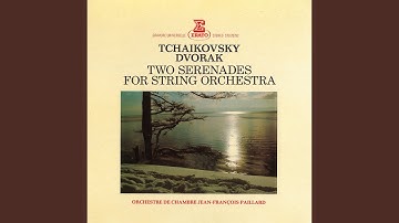 Serenade for Strings in E Major, Op. 22, B. 52: IV. Larghetto