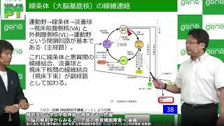 解剖学から学ぶ中枢神経の病態とその把握 後編（荒川 高光先生）