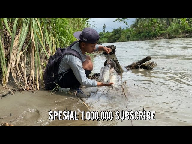 Pasang 33 Pancing & 2 perangkap ikan dapat mujair besar banget😭 #KOOKIKO class=