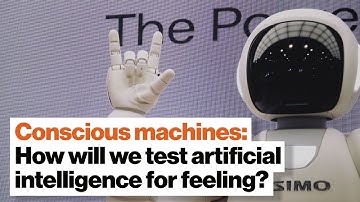 Conscious machines: How will we test artificial intelligence for feeling? | Dr. Susan Schneider