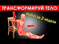 4 Простых Упражнения, Которые Трансформируют Ваше Тело Всего за 2 Недели