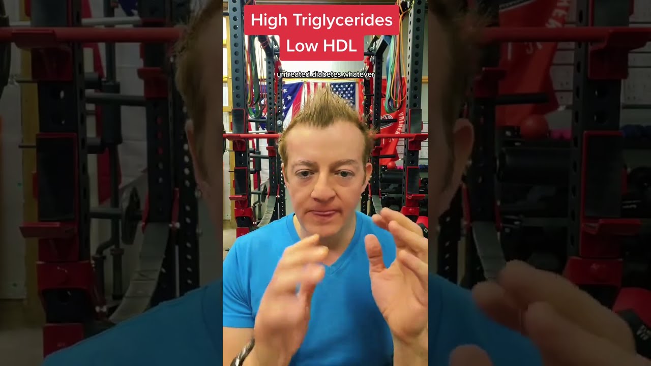 High Triglycerides And Low HDL What Does This Mean 