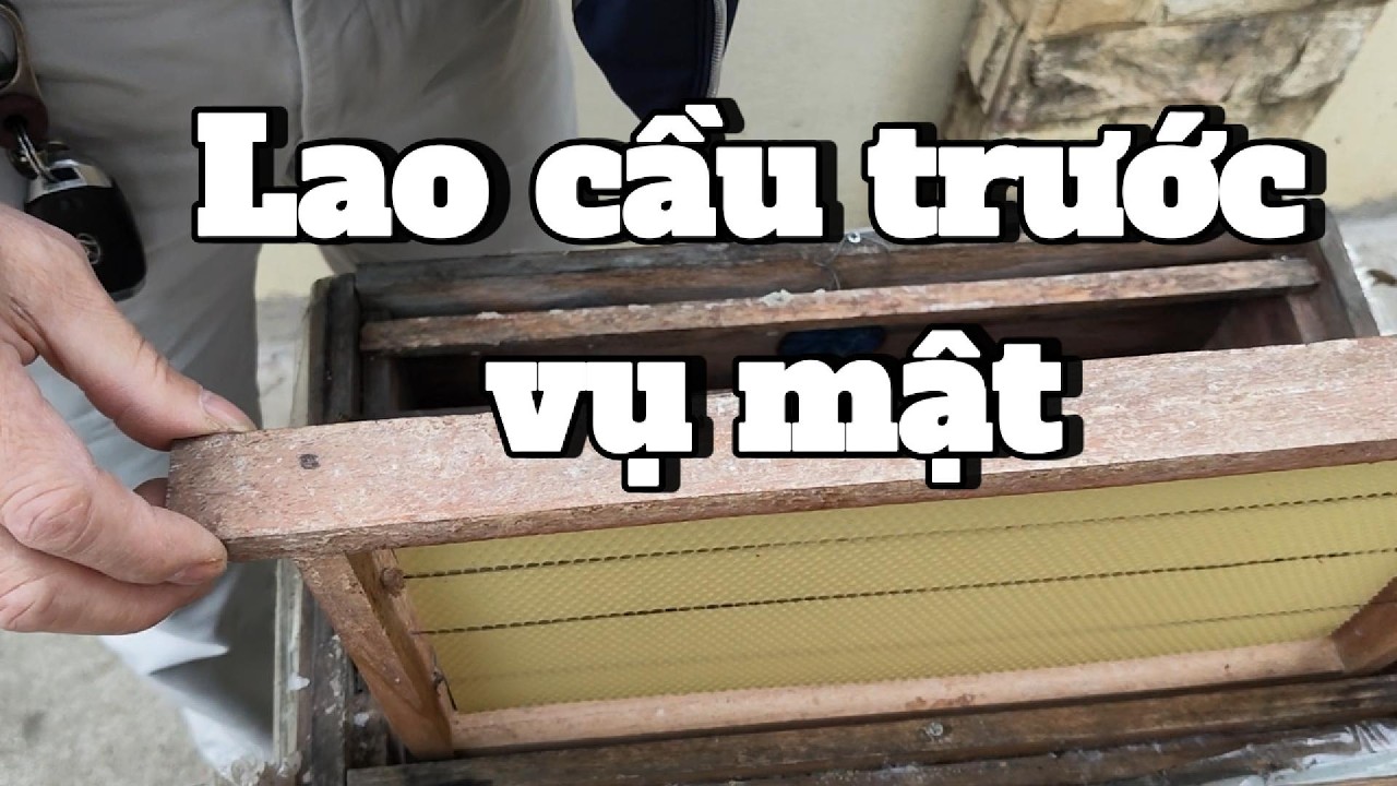 Xây Cầu Trước Vụ Hoa – Điều Khiển Đỉnh Lực Đàn Theo Nhịp Sinh Học