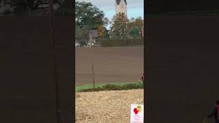 Download Lagu Marshal going crazy - WRC Rallye Central Europe - Safety First 😉 #wrc #cer #crash #marshall MP3