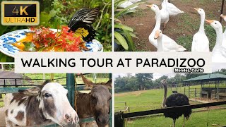 Paradizoo Theme Park - Mendez Tagaytay | Walking Tour screenshot 4