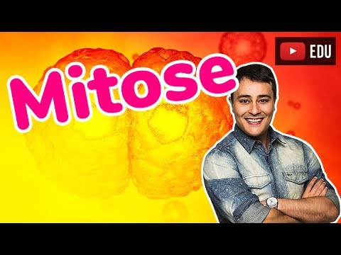 Mitose - AULA ANTIGA - Prof. Paulo Jubilut