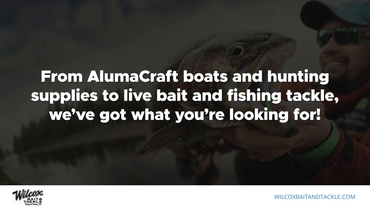 Wilcox Bait & Tackle Newport News Virginia 23605 YouTube