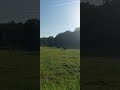 Samstag Spaziergang...!!!!