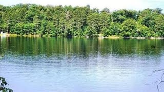 38284 Ox Lake Landing video tour