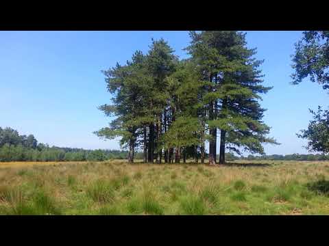 National Park Utrechtse Heuvelrug