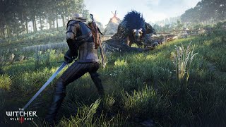 Witcher 3 E3 2014 수정된 게임플레이 screenshot 4