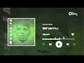 MwanaFA Binamu Official Audio mp3