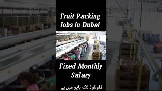 Dubai fruit packing jobs#packing #jobs #packingjob #dubai #dubaijobs #money #success #job #jobsearch