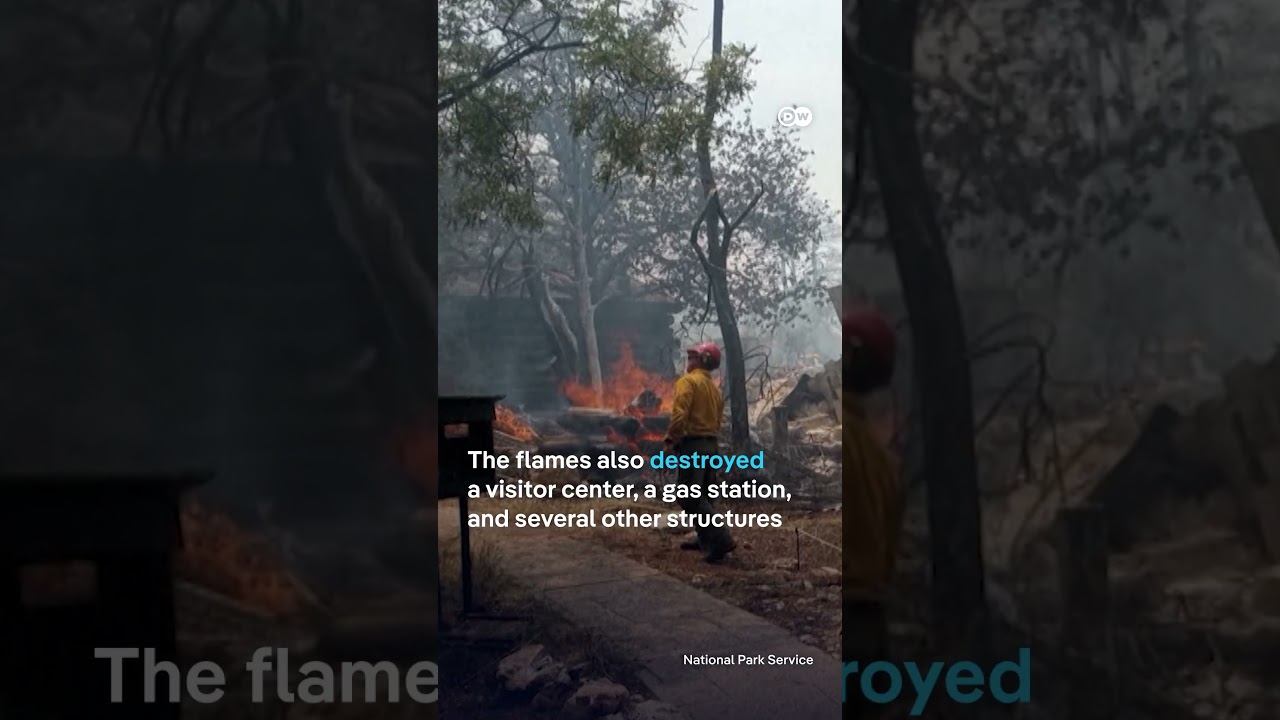 Grand Canyon wildfire blazes burn down historic lodge | DW News