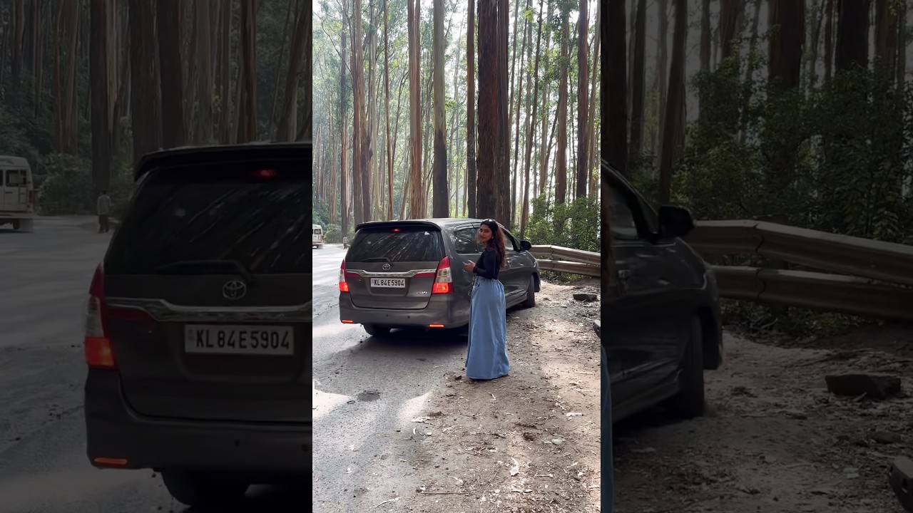 Silence, trees, and a road to Ooty 🍃💚