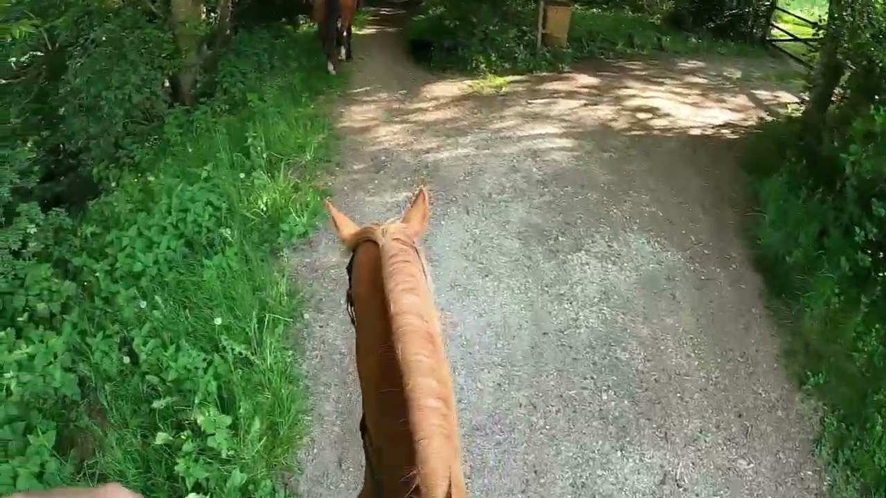 Jumilhac Gorge with Piano