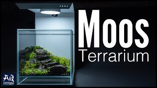 Moos Nano Cube | AquaOwner - YouTube