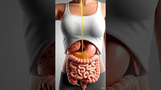 What Happens When You Drink Lemon Juice Daily | Amazing Benefits &amp; Effects on Your Body | Fuel Life