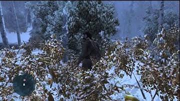 37 Assassins Creed 3 Walkthrough HD PS3 (Exploring the Frontier)